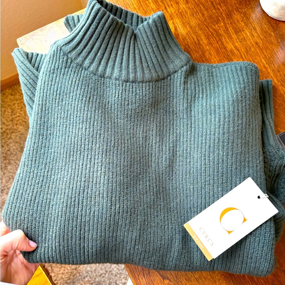 Cyrus Women's Green Sweater